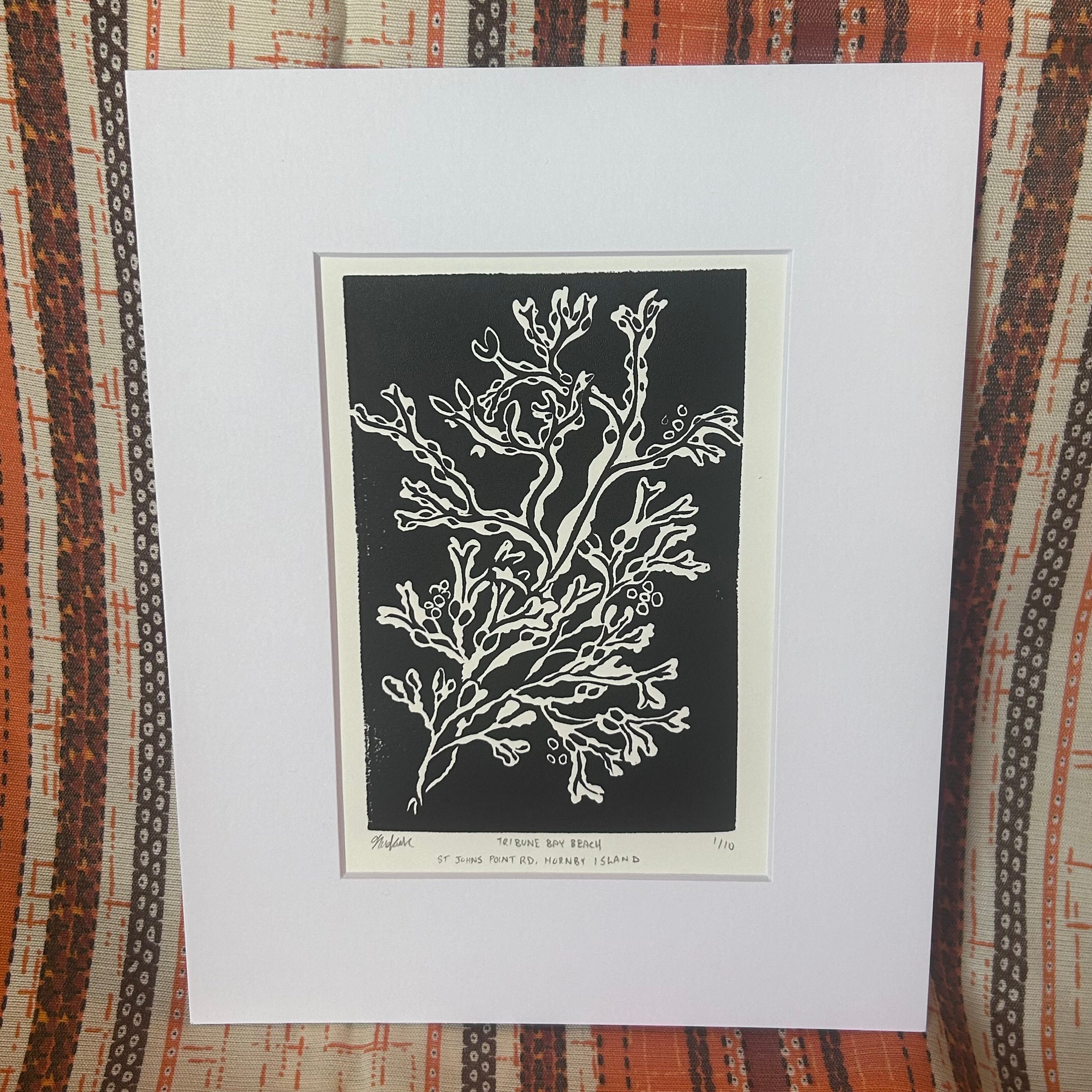 Hornby Kelp